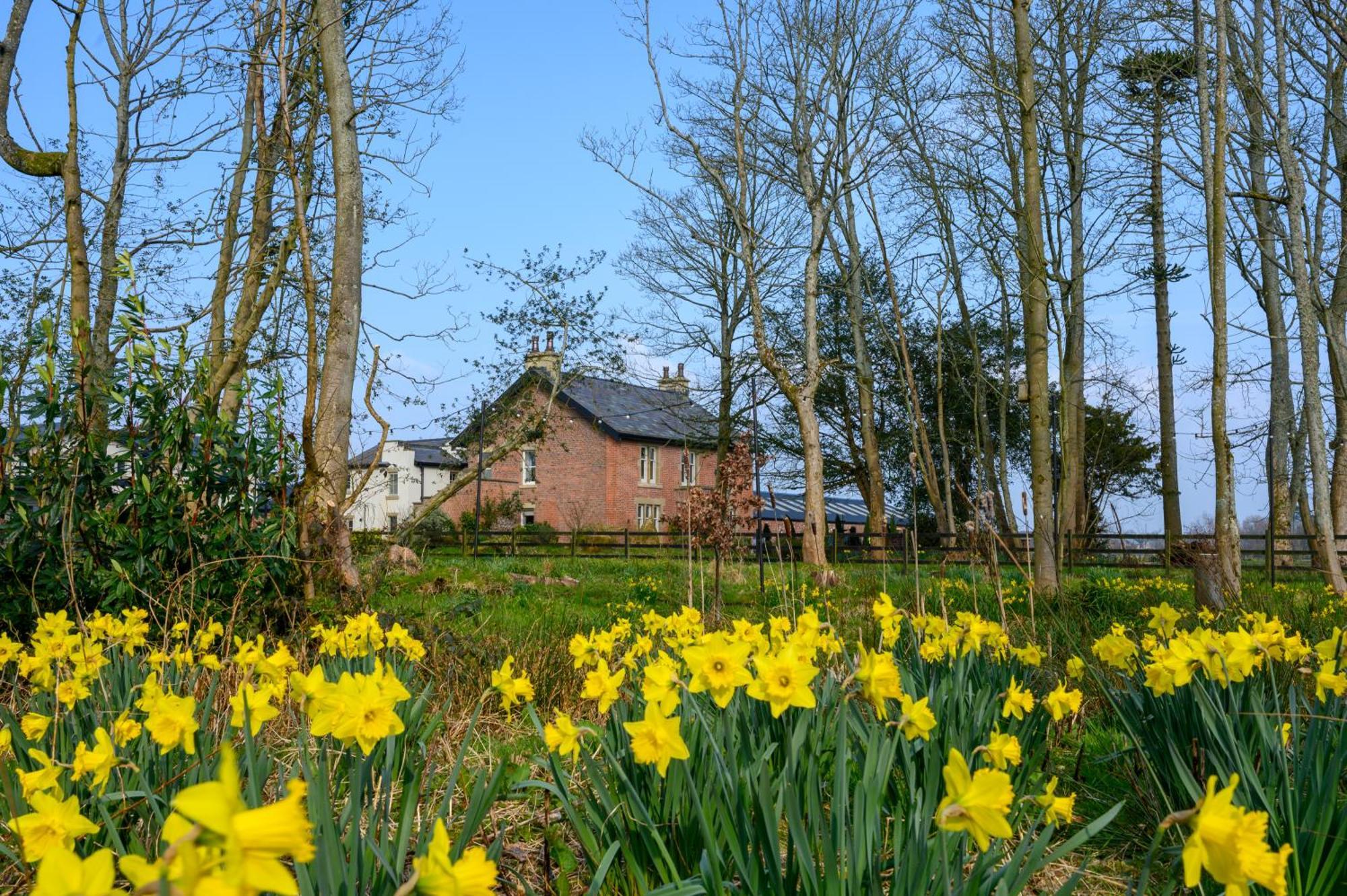לית'ם סנט אנס The Bothy Cottage מראה חיצוני תמונה